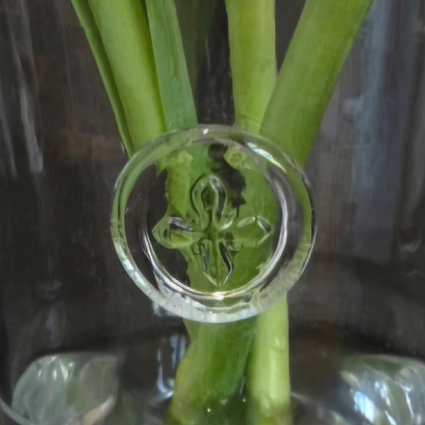 Vas Jämtland servisen